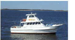 Desktop Screenshot of bingosportfishing.com