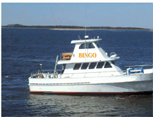 Tablet Screenshot of bingosportfishing.com